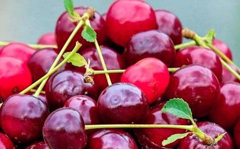 �����ˮ������14ƪ