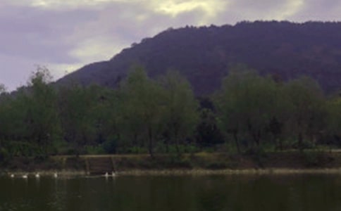 ˮ��(k��)����̎�Ă�(g��)�˹������Y(ji��)