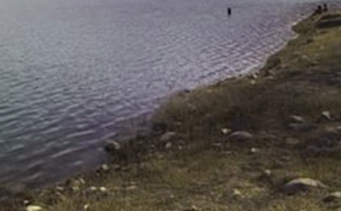 ˮ�����̎��ȫ���a(ch��n)�Ĺ������Y(ji��)