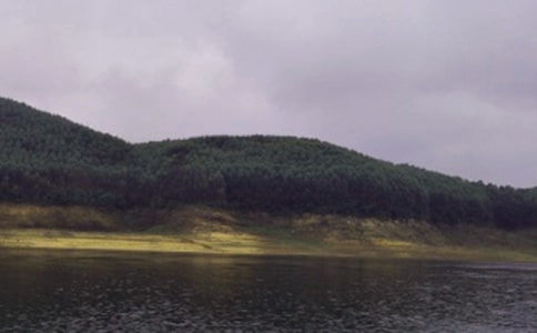 �P(gu��n)�Tʯˮ��(k��)��ӛ���ģ����x15ƪ��