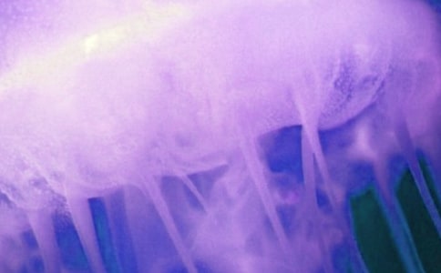 ĸ��(��i)��ˮĸ��(��i)����