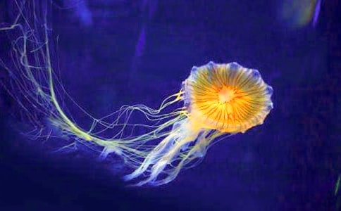 �P(gu��n)��ˮĸ������