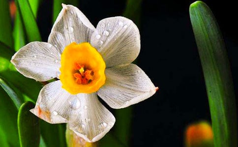 ��W(xu��)���x��������ˮ���򡷕��Pӛ1000��