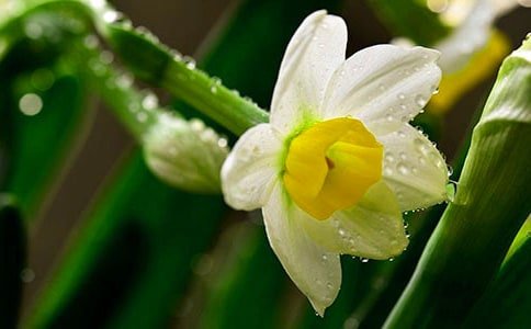 ˮ���^����ӛ600��