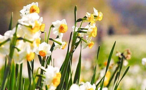 ˮ�ɻ�����200�֣�ͨ��52ƪ��