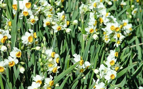 ˮ�ɻ��^����ӛ(���x15ƪ)