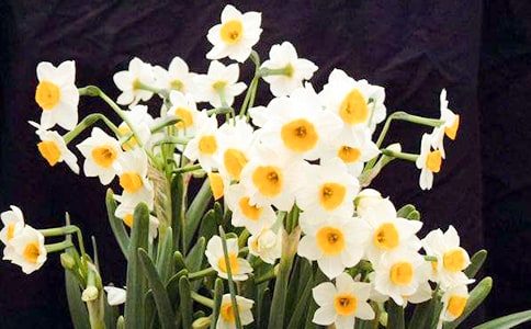 �����T��ˮ�ɻ��^����ӛ15ƪ