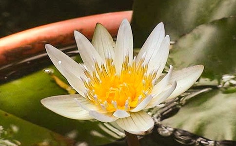 �а�ƌW(xu��)�̰�֮˯ɏ���_