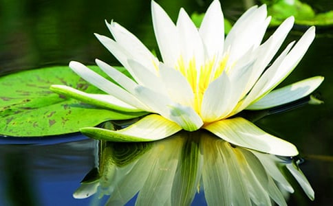 �P(gu��n)��˯ɏ������