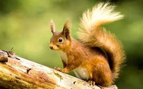 ��(sh��)�õ�С����ͯԒ����