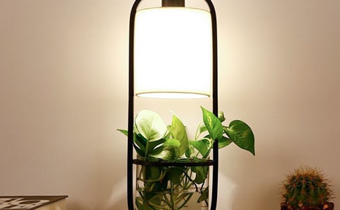 寫臺燈的作文600字4篇