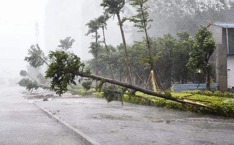 ���ᣩ�P���_�L������