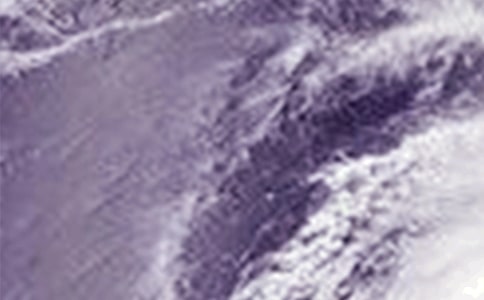 365�W(w��ng)����ӛ ��ҹ�_(t��i)�L(f��ng)���u