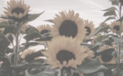 ̫ꖻ��^����ӛ