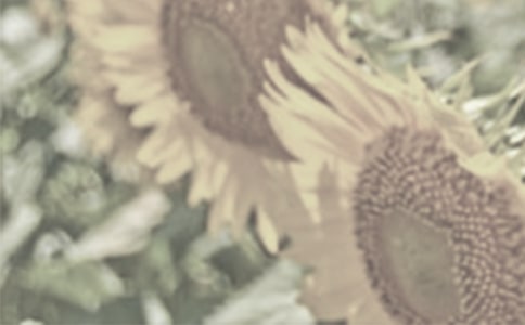 �茑̫ꖻ�������(���x)