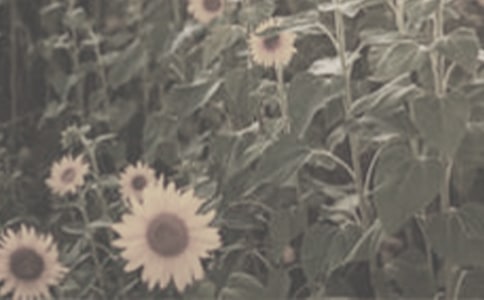 ���NһƬ̫�(y��ng)�����̌W(xu��)�O(sh��)Ӌ(j��)