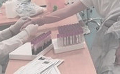 �w�z���Č����ĵ�