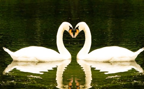 �P(gu��n)�����Z��������