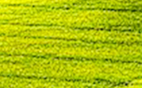 田野里的希望作文