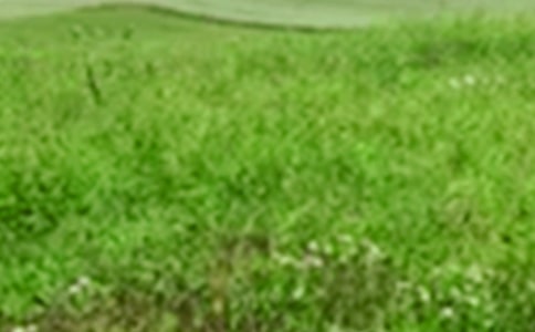 ��������Ұ����