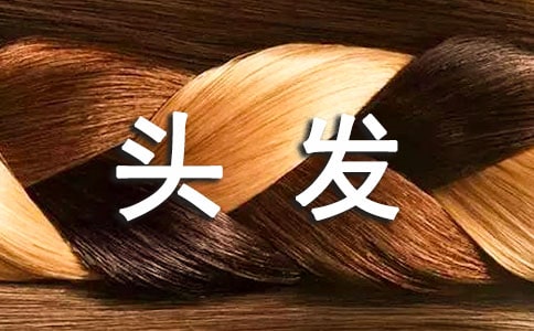 �����C�^�l(f��)���cĘ��ƥ��