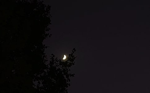 2025年有關(guān)形容夜晚安靜的句子28條