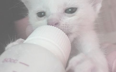 �o����ι�̷�Ҫע��ʲô��