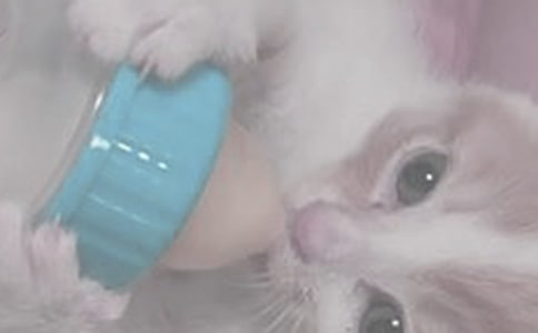 ��ؐ˯�Xǰ����ι��