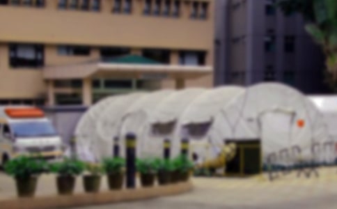 豬瘟疫苗的生產(chǎn)研發(fā)與應(yīng)用