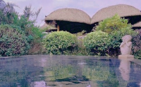 ���P(gu��n)��Ȫ��ӛ������ƪ