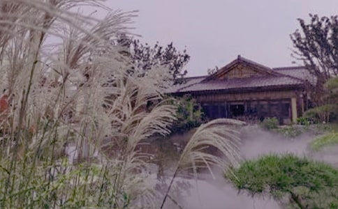 溫泉游記作文4篇