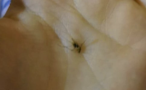 �����Ӕ�������