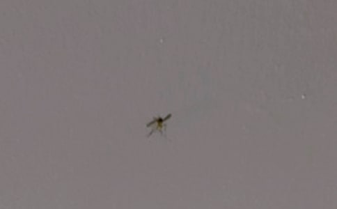 �P(gu��n)�����ӵ�����[ͨ��]