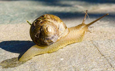 С΁ţ�̌W(xu��)�O(sh��)Ӌ(j��)����