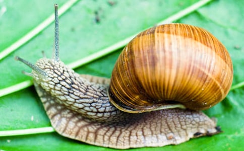 ΁ţ�^����ӛ