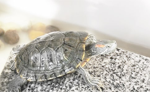 �^�����?sh��)����?00��