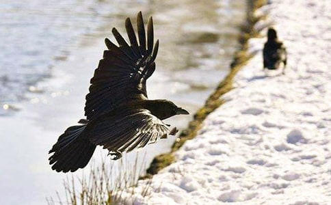 ���f���_����