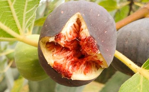 �Ř�(sh��)�͟o(w��)������(sh��)����