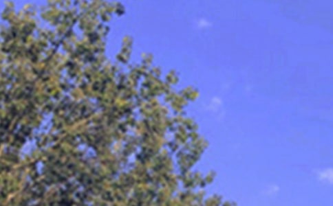 ��ܰ�簲���Z(y��)30��