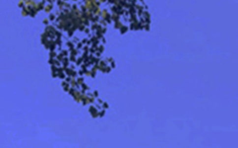 ��(j��ng)�䂀(g��)���簲���Z60�侫�x