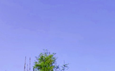 �簲���ӣ����x80�䣩