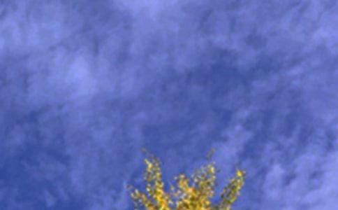 經(jīng)典治愈午安句子(精選80句)