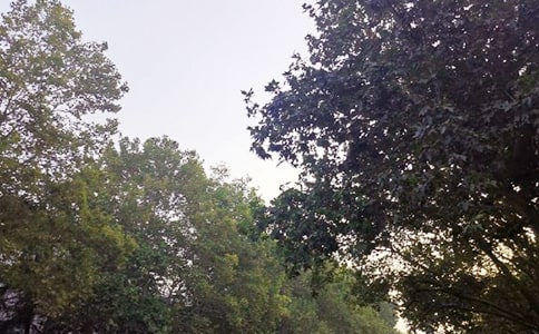 ��(j��ng)���簲���Z(y��)�����x40�䣩