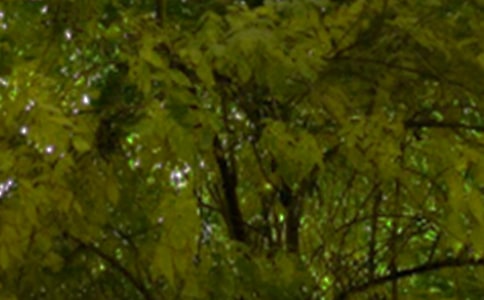 �P(gu��n)�������簲���Z(y��)��ȫ��ͨ��80�䣩