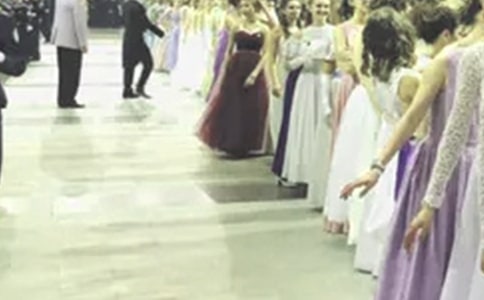 水果們的舞會作文