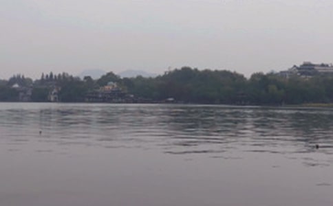 西湖游記作文(必備)