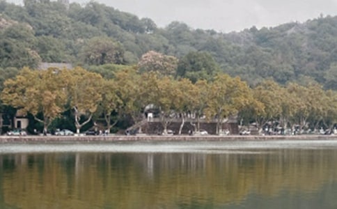 ������(y��u)������