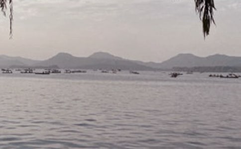 ������ӛ���ľ��x8ƪ