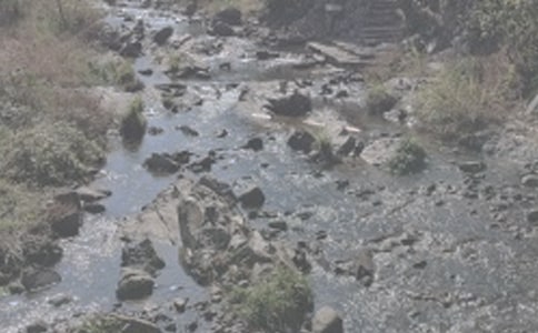 ����Ϫ������