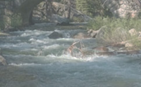 ��СϪ���ĸ衷�̰�3